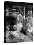 Children Watching a Popcorn Working-J^ R^ Eyerman-Stretched Canvas