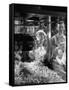 Children Watching a Popcorn Working-J^ R^ Eyerman-Framed Stretched Canvas