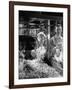 Children Watching a Popcorn Working-J^ R^ Eyerman-Framed Photographic Print