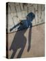 Childs Shadow on Wall-Clive Nolan-Stretched Canvas