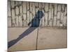 Childs Shadow on Wall-Clive Nolan-Mounted Photographic Print
