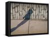 Childs Shadow on Wall-Clive Nolan-Framed Stretched Canvas