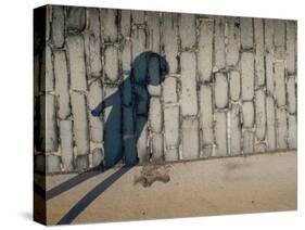 Childs Shadow on Wall-Clive Nolan-Stretched Canvas