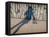 Childs Shadow on Wall-Clive Nolan-Framed Stretched Canvas