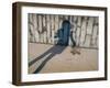 Childs Shadow on Wall-Clive Nolan-Framed Photographic Print