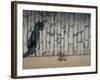 Childs Shadow on Wall-Clive Nolan-Framed Photographic Print