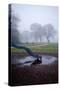 Childs Slide in Countryside Play Area-David Baker-Stretched Canvas