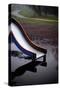 Childs Slide in Countryside Play Area-David Baker-Stretched Canvas