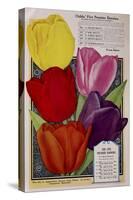Childs Tulips-Vintage Apple Collection-Stretched Canvas