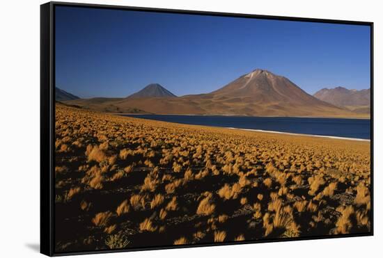 Chile, Altiplano, Los Flamencos National Reserve, Miscanti Lake-Andres Morya Hinojosa-Framed Stretched Canvas