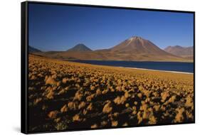 Chile, Altiplano, Los Flamencos National Reserve, Miscanti Lake-Andres Morya Hinojosa-Framed Stretched Canvas