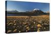 Chile, Altiplano, Los Flamencos National Reserve, Miscanti Lake-Andres Morya Hinojosa-Stretched Canvas