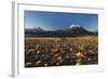 Chile, Altiplano, Los Flamencos National Reserve, Miscanti Lake-Andres Morya Hinojosa-Framed Photographic Print