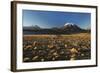 Chile, Altiplano, Los Flamencos National Reserve, Miscanti Lake-Andres Morya Hinojosa-Framed Photographic Print