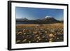 Chile, Altiplano, Los Flamencos National Reserve, Miscanti Lake-Andres Morya Hinojosa-Framed Photographic Print