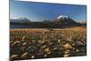 Chile, Altiplano, Los Flamencos National Reserve, Miscanti Lake-Andres Morya Hinojosa-Mounted Photographic Print