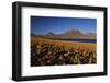 Chile, Altiplano, Los Flamencos National Reserve, Miscanti Lake-Andres Morya Hinojosa-Framed Photographic Print