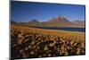 Chile, Altiplano, Los Flamencos National Reserve, Miscanti Lake-Andres Morya Hinojosa-Mounted Photographic Print