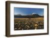 Chile, Altiplano, Los Flamencos National Reserve, Miscanti Lake-Andres Morya Hinojosa-Framed Photographic Print