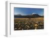 Chile, Altiplano, Los Flamencos National Reserve, Miscanti Lake-Andres Morya Hinojosa-Framed Photographic Print