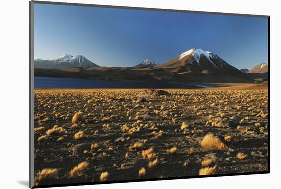 Chile, Altiplano, Los Flamencos National Reserve, Miscanti Lake-Andres Morya Hinojosa-Mounted Photographic Print