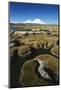Chile, Altiplano, Payachalas Volcanos, Bofedal Parinacota, Lauca-Andres Morya Hinojosa-Mounted Photographic Print