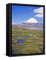 Chile, Andes, Lauca National Park, Lake Chungara and Volcan Parinacota, 6300M-Geoff Renner-Framed Stretched Canvas