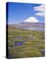 Chile, Andes, Lauca National Park, Lake Chungara and Volcan Parinacota, 6300M-Geoff Renner-Stretched Canvas