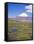 Chile, Andes, Lauca National Park, Lake Chungara and Volcan Parinacota, 6300M-Geoff Renner-Framed Stretched Canvas