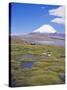 Chile, Andes, Lauca National Park, Lake Chungara and Volcan Parinacota, 6300M-Geoff Renner-Stretched Canvas