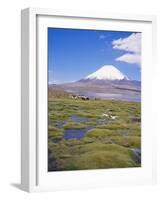 Chile, Andes, Lauca National Park, Lake Chungara and Volcan Parinacota, 6300M-Geoff Renner-Framed Photographic Print