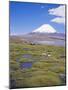Chile, Andes, Lauca National Park, Lake Chungara and Volcan Parinacota, 6300M-Geoff Renner-Mounted Photographic Print