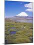 Chile, Andes, Lauca National Park, Lake Chungara and Volcan Parinacota, 6300M-Geoff Renner-Mounted Photographic Print