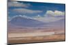 Chile, Atacama Desert, Desert Landscape with the Andes Mountains-Walter Bibikow-Mounted Photographic Print