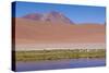 Chile, Atacama Desert, Lagoon with Flamingos by the Paso Jama-Walter Bibikow-Stretched Canvas