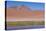 Chile, Atacama Desert, Lagoon with Flamingos by the Paso Jama-Walter Bibikow-Stretched Canvas