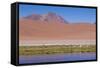 Chile, Atacama Desert, Lagoon with Flamingos by the Paso Jama-Walter Bibikow-Framed Stretched Canvas