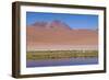 Chile, Atacama Desert, Lagoon with Flamingos by the Paso Jama-Walter Bibikow-Framed Photographic Print