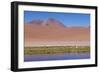 Chile, Atacama Desert, Lagoon with Flamingos by the Paso Jama-Walter Bibikow-Framed Photographic Print