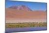 Chile, Atacama Desert, Lagoon with Flamingos by the Paso Jama-Walter Bibikow-Mounted Photographic Print