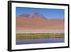 Chile, Atacama Desert, Lagoon with Flamingos by the Paso Jama-Walter Bibikow-Framed Photographic Print