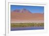 Chile, Atacama Desert, Lagoon with Flamingos by the Paso Jama-Walter Bibikow-Framed Photographic Print