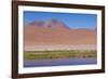 Chile, Atacama Desert, Lagoon with Flamingos by the Paso Jama-Walter Bibikow-Framed Photographic Print