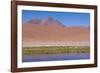 Chile, Atacama Desert, Lagoon with Flamingos by the Paso Jama-Walter Bibikow-Framed Photographic Print