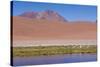 Chile, Atacama Desert, Lagoon with Flamingos by the Paso Jama-Walter Bibikow-Stretched Canvas