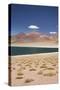 Chile, Atacama Desert, Laguna Miscanti, Desert Lake View-Walter Bibikow-Stretched Canvas