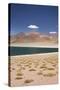 Chile, Atacama Desert, Laguna Miscanti, Desert Lake View-Walter Bibikow-Stretched Canvas