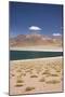 Chile, Atacama Desert, Laguna Miscanti, Desert Lake View-Walter Bibikow-Mounted Photographic Print