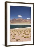 Chile, Atacama Desert, Laguna Miscanti, Desert Lake View-Walter Bibikow-Framed Photographic Print