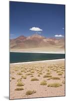 Chile, Atacama Desert, Laguna Miscanti, Desert Lake View-Walter Bibikow-Mounted Photographic Print